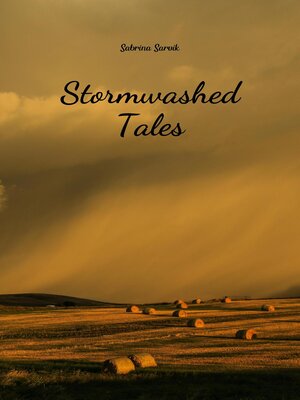 cover image of Stormwashed Tales